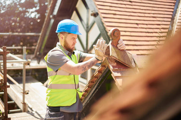 Best Roof Gutter Cleaning  in Macarthur, WV